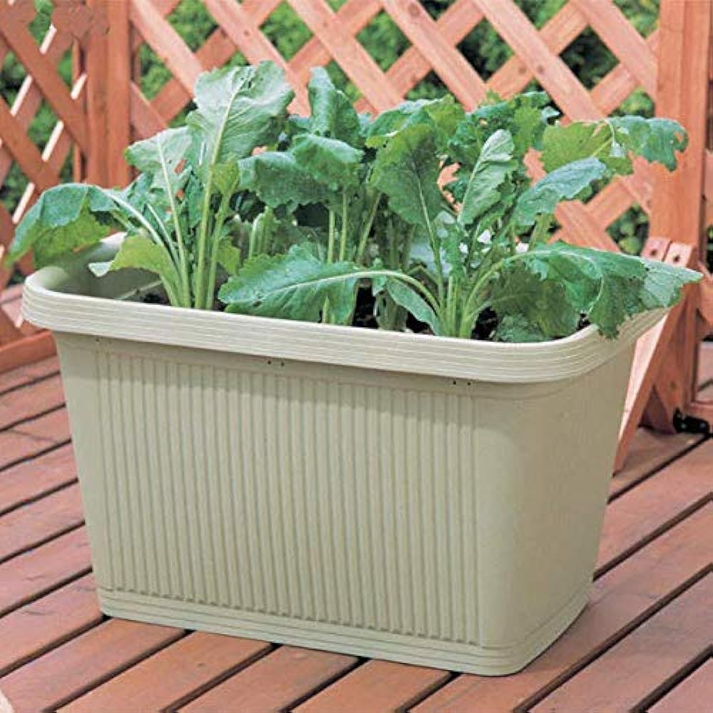 Iris Ohyama Flor Planter [Set of 20] Warm Beige