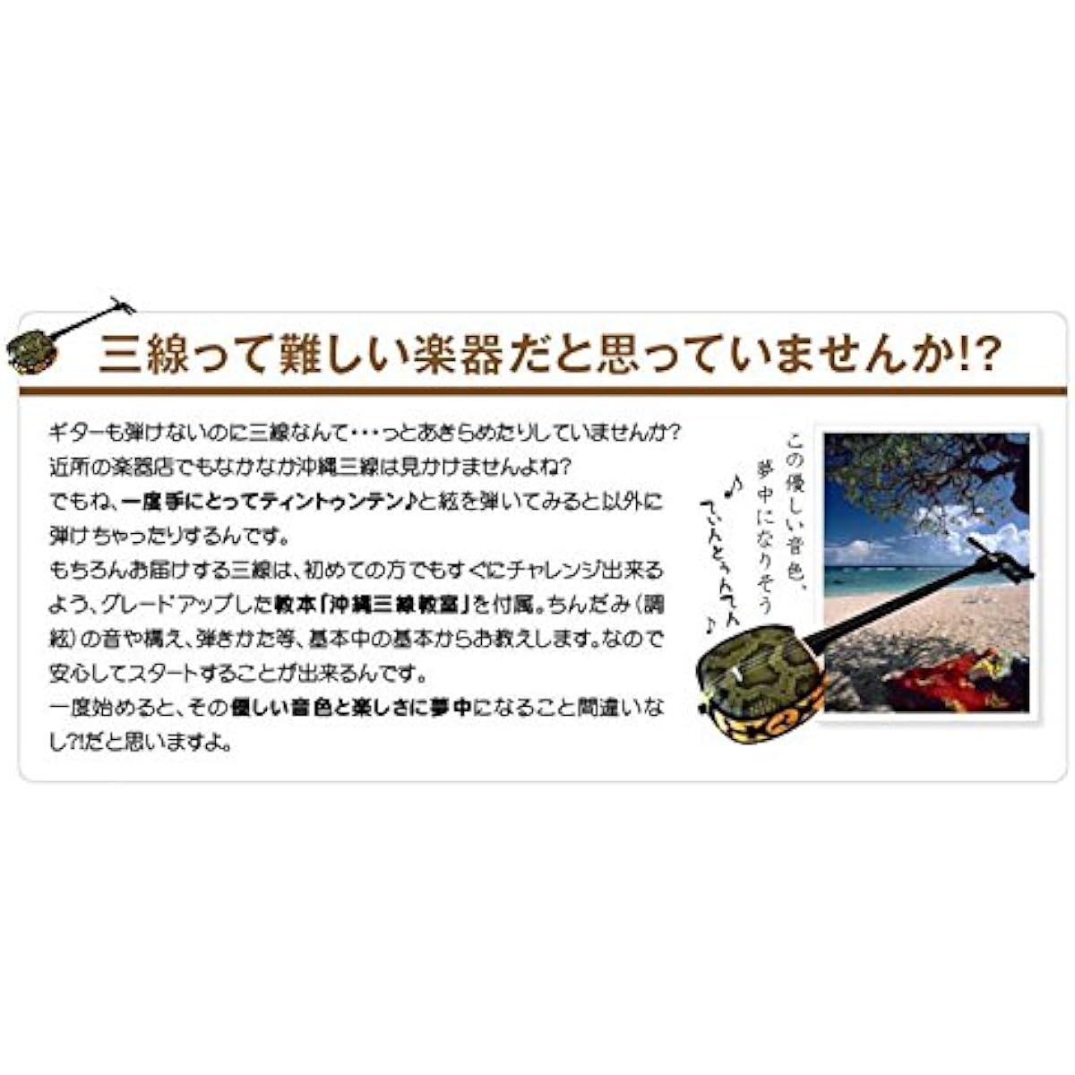 Sanshin set (21 items) Beginner-friendly! Comes with a textbook with kind and careful sheet music! Okinawa sanshin (artificial leather) authentic luxury 21-piece set♪ (A set brown)