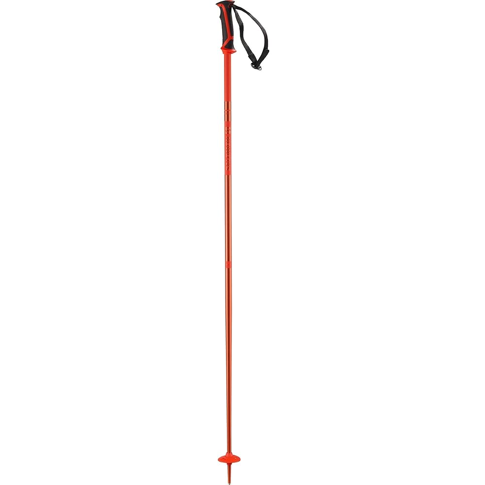 SALOMON Ski Stock Pole ARCTIC