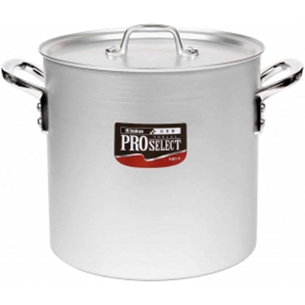Hokuriku Aluminum Pot Pro Select 21cm A1520021