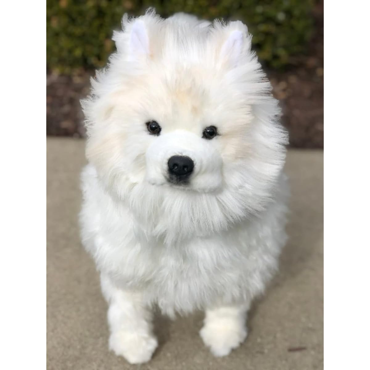 Auswella Stuffed Samoyed Plush Animal - Dog