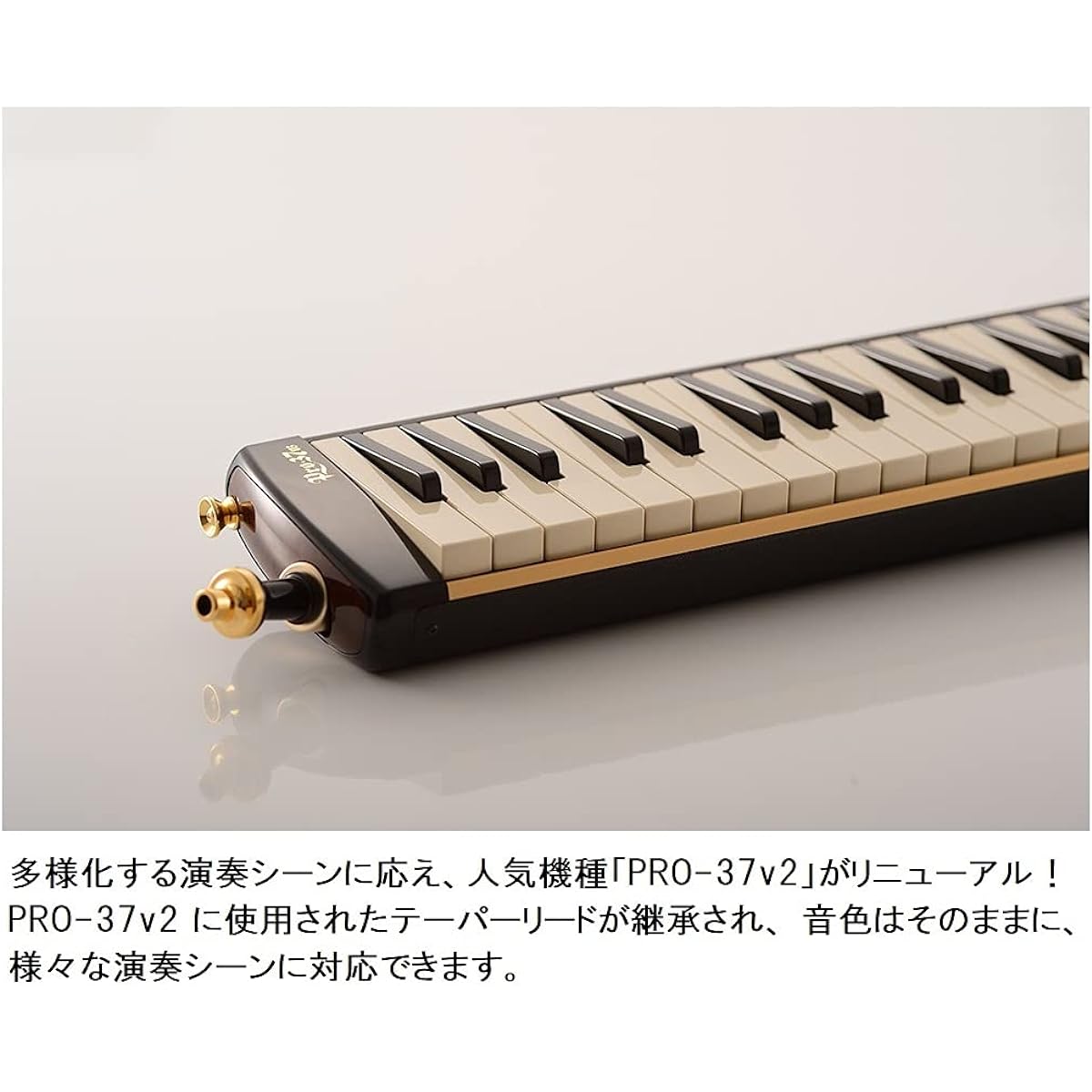 SUZUKI Keyboard Harmonica Melodion Alto PRO-37v3