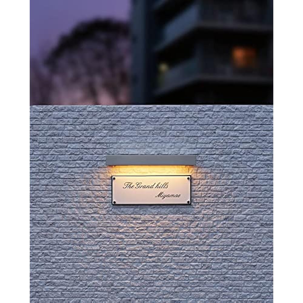 Orderic Exterior LED Nameplate Light High Color Rendering Rainproof Bottom Light Distribution Bulb Color Matte Silver: OG254875R