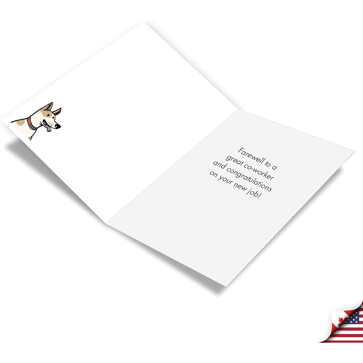 NobleWorks Funny Job Greeting Cards (Coworkers) with 5 x 7 Inch Envelopes (1 Card) New Job CongratulationsDog Coworker C10286NJG