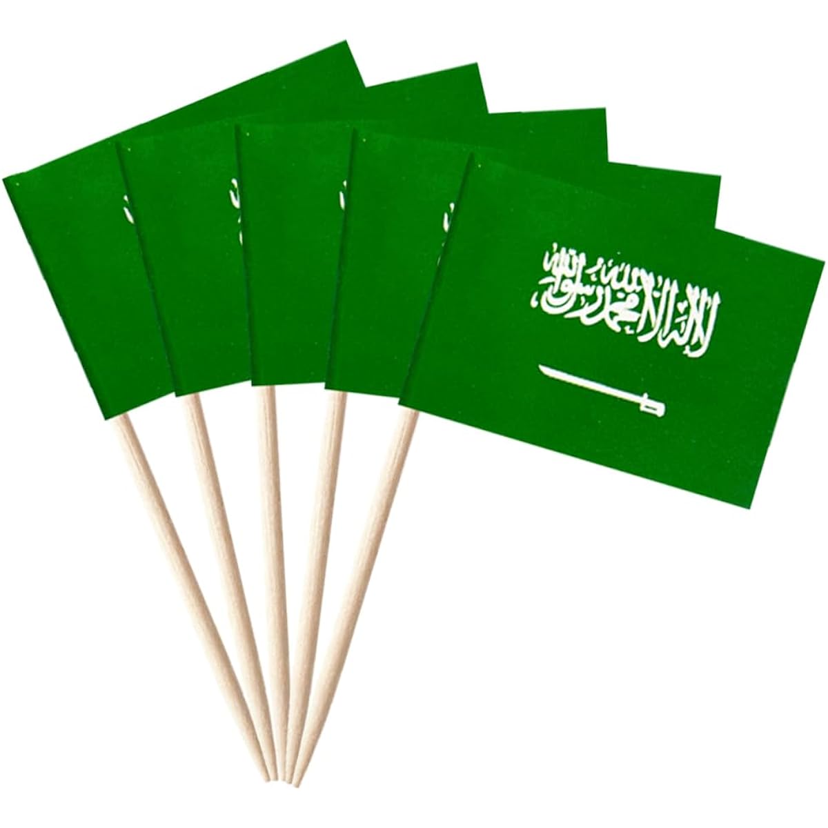 stidsds 100 Pieces Flag C (Saudi Arabia)