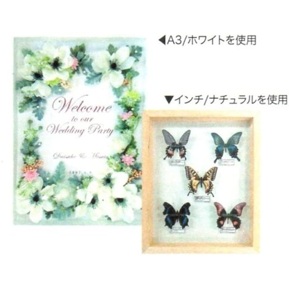 A.P.J. Art box frame (height: 35mm) Taikoro size (394 x 509mm) Pastel white