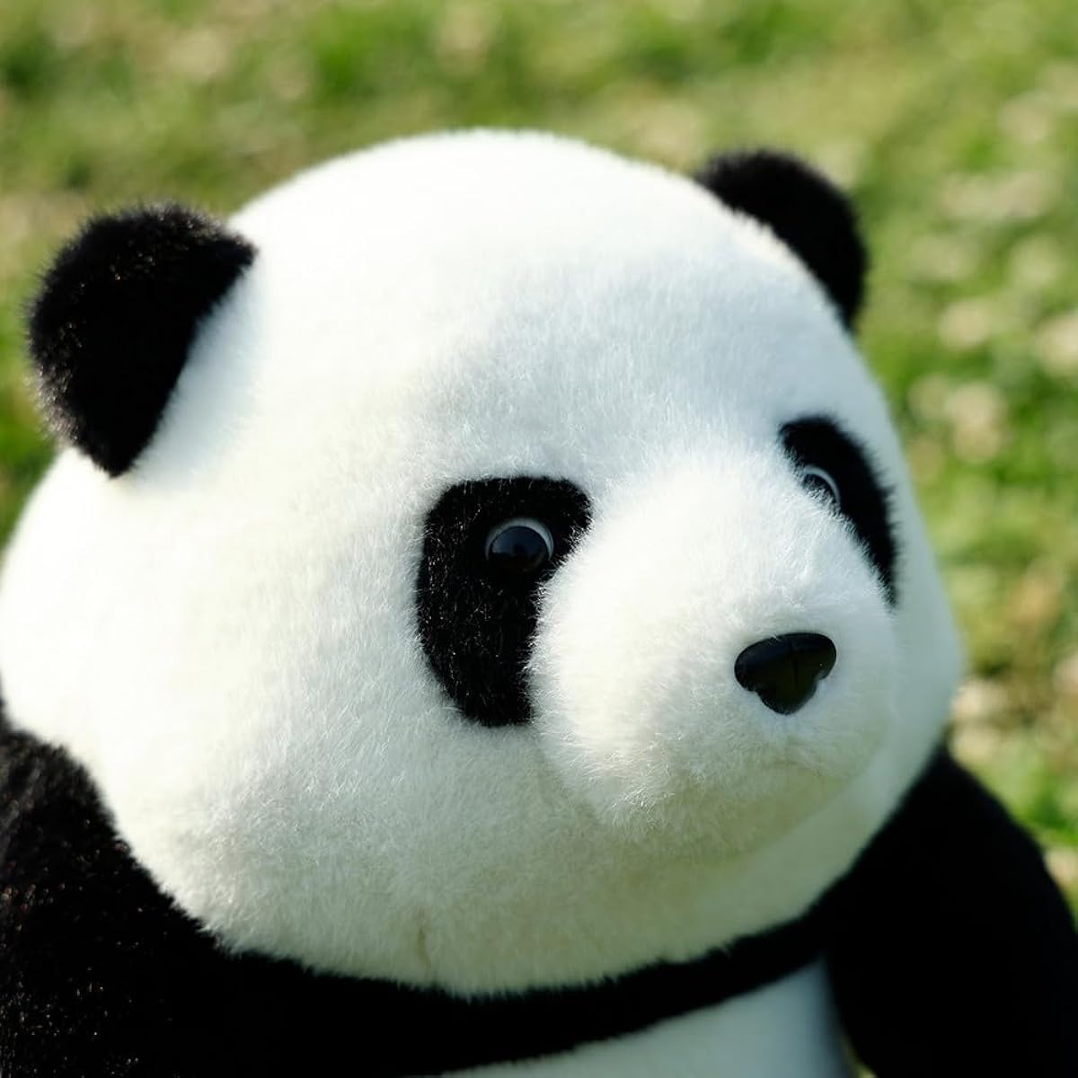 BEARS'HOME Plush Panda Giant Panda Plush Toy (Nesoberi Series/Soft to the Touch) Realistic Panda Animal Toy Doll Gift Present Birthday Panda (60cm)