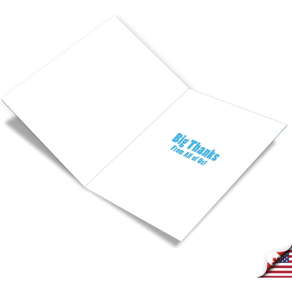 NobleWorks Jumbo Humorous Thank You Greeting Cards From Us 8.5 x 11 Inch with Envelopes (1 Pack) Extra Large Jumbo Big Difference Counselor J8217TYG-US