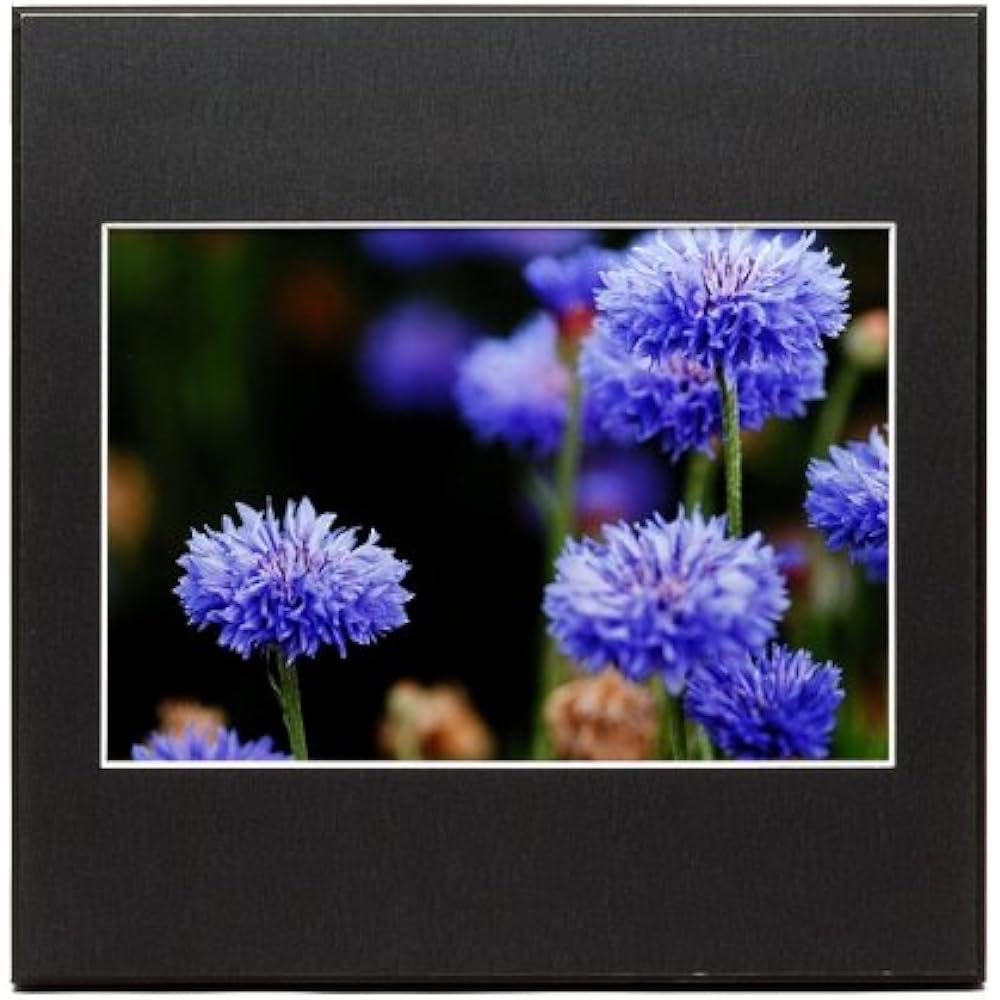 Replacement mat panel (A2) [black]