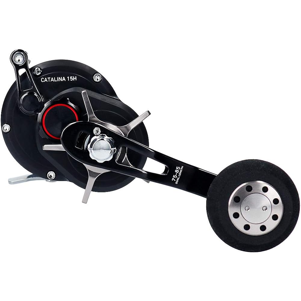 DAIWA bait reel 19 Catalina (2019 model)