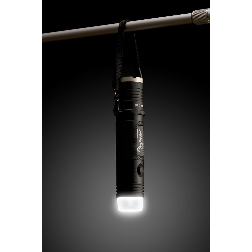 GENTOS Flashlight The LED [Brightness 200 lumens, practical lighting 11 hours] LD-200L