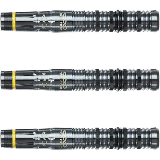 DYNASTY TRIPLEIGHT effort3 DLC 2BA Akihiko Owaku model darts barrel darts set