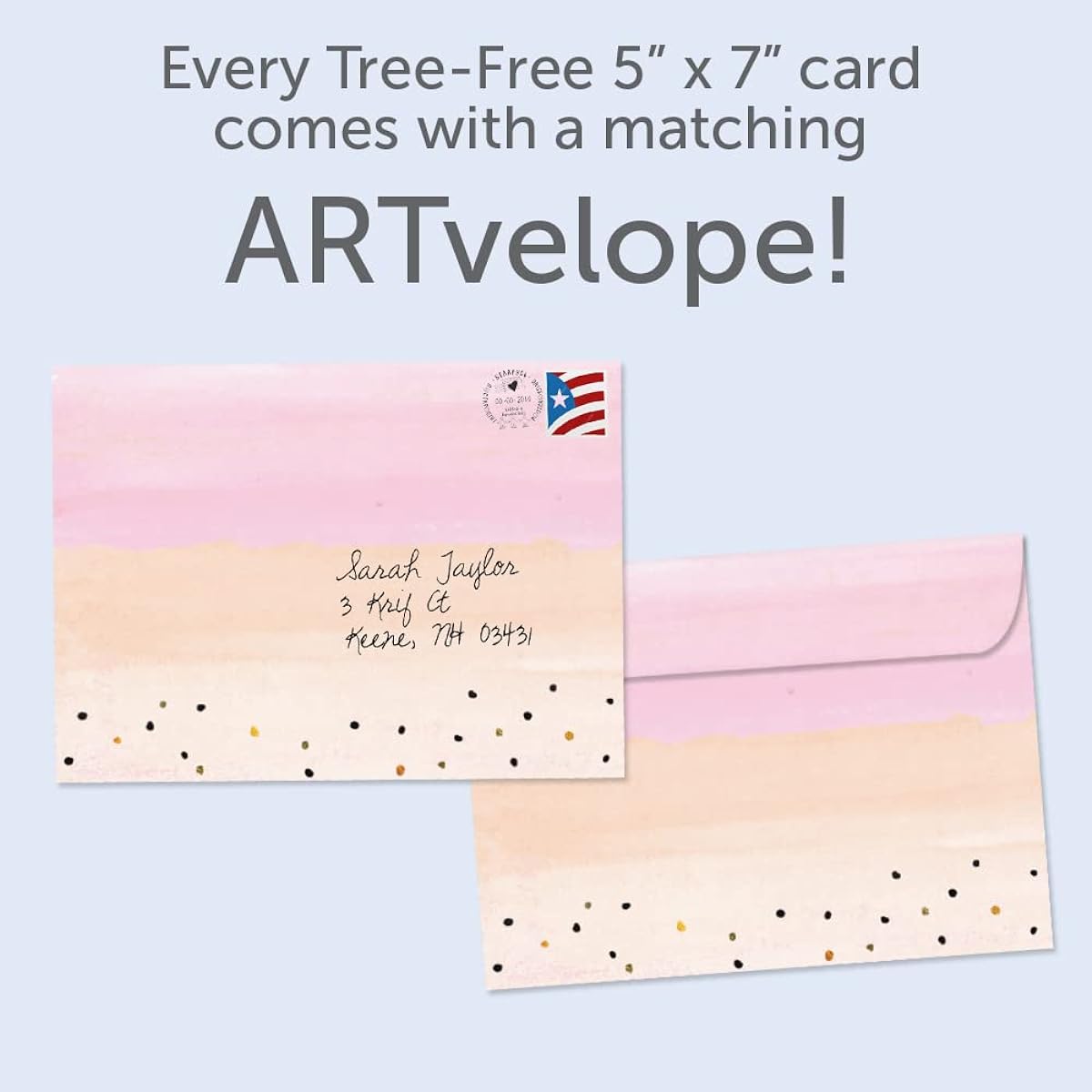 Tree-Free Greetings Thank You for Your Teacher Single 5"x7" Greeting Card with Matching Envelope Eco Friendly Made in the USA 100% Recycled Paper Humor for Your Teacher You're My Favorite (GO64416)