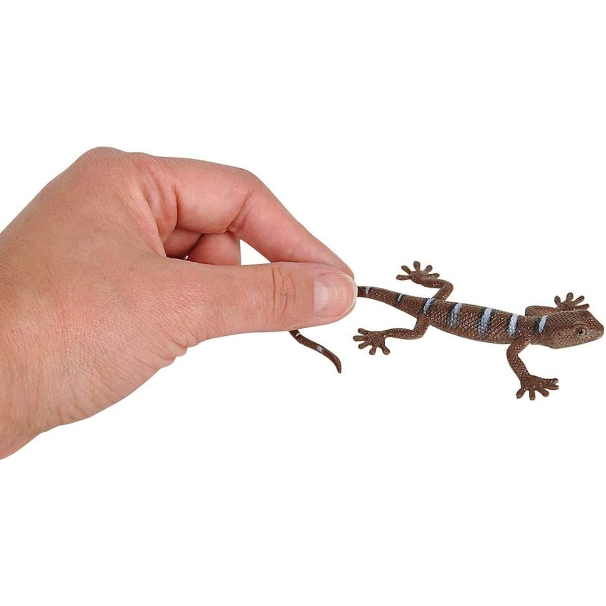 HAPPY DEALS ~ Lizard Figures | 12 Pieces | Small Reptile Animal Toys | 5 Inch Size