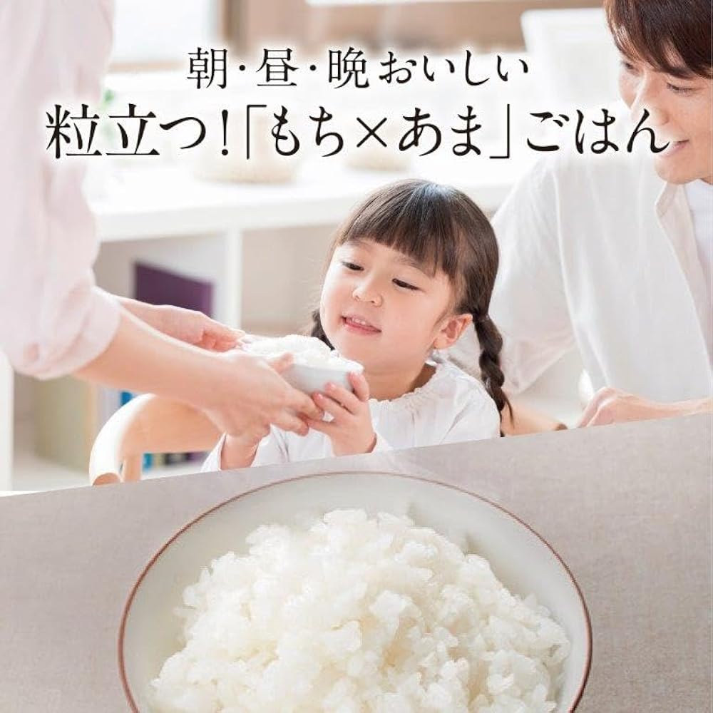 Mitsubishi Electric Rice Cooker, 5.5 Cups, IH Type, Made in Japan, Charcoal Cooker (Double Layer Thickness Cooker), Variable Ultrasonic Water Absorption, Rich Cooking Size, Tsukihaku NJ-VE10F-W