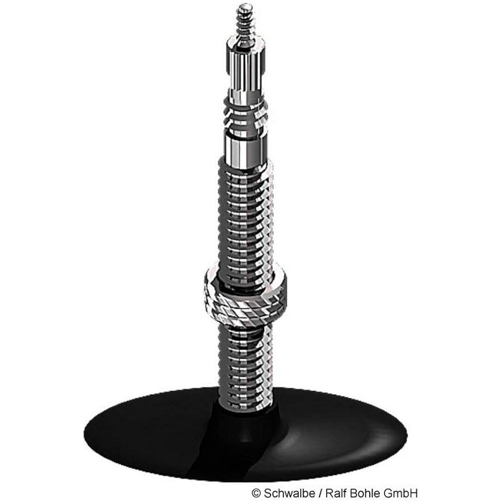 Set of 2 SCHWALBE 700×28/45C Tube Presta 17SV Valve Length 40mm [Simple Package Version] [Parallel Import]