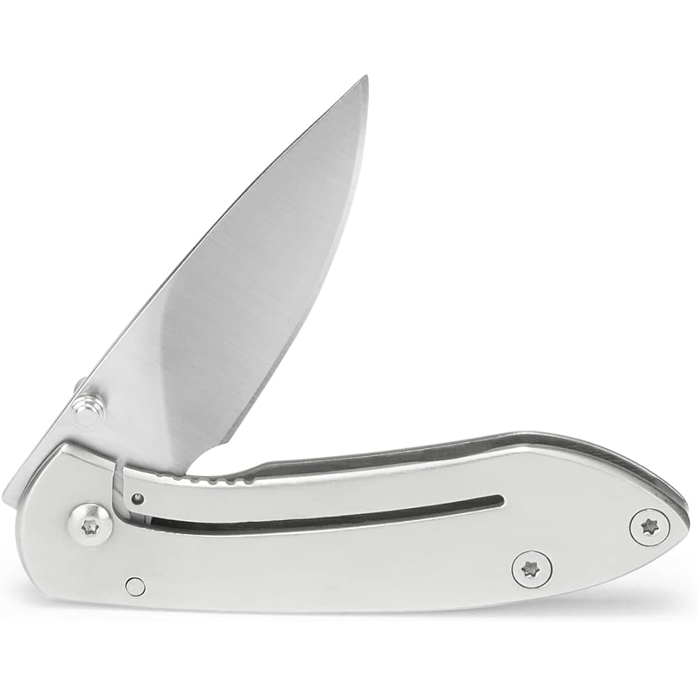 BUCK Folding Knife Colleague 325SSS-B Total Length: 120mm