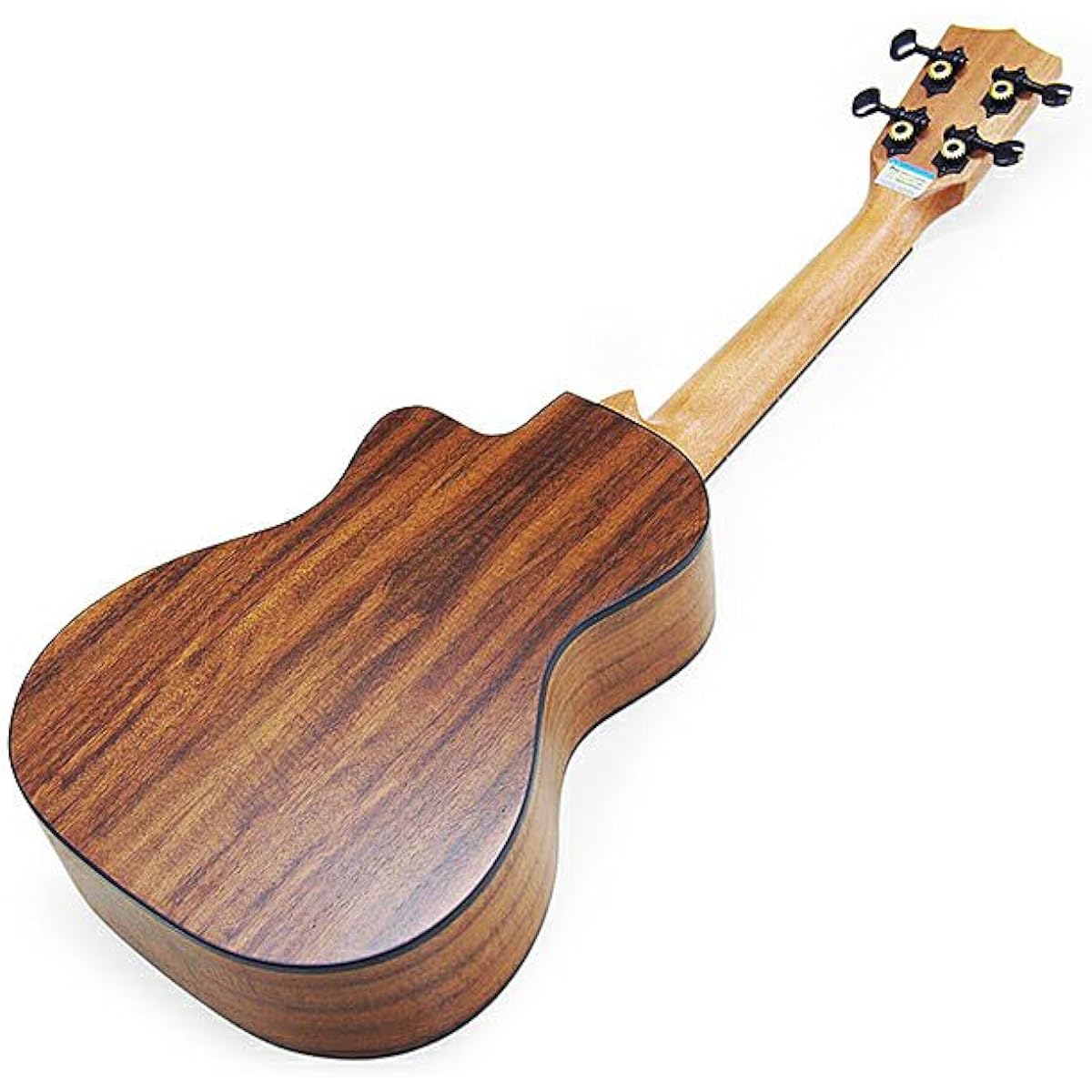 Uma Ukulele UK-16SC Concert Cutaway Tuner Included Top Spruce Solid TR Music String Height Adjusted (Taiwan Brand) [Solo] (u)