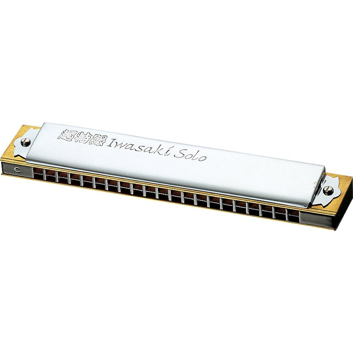 TOMBO double tone harmonica super special grade Iwasaki solo 1921S-Cm