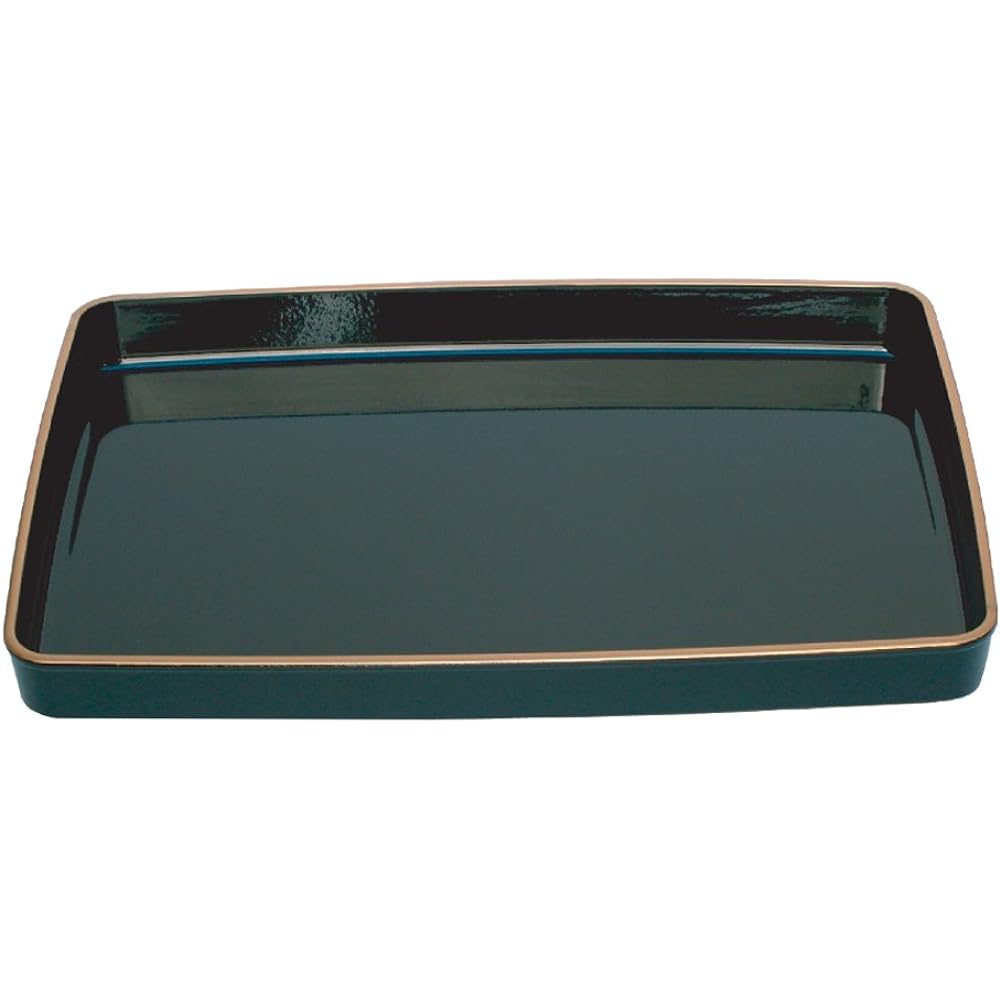 Collect certificate tray plastic 548X382X55 T-18P
