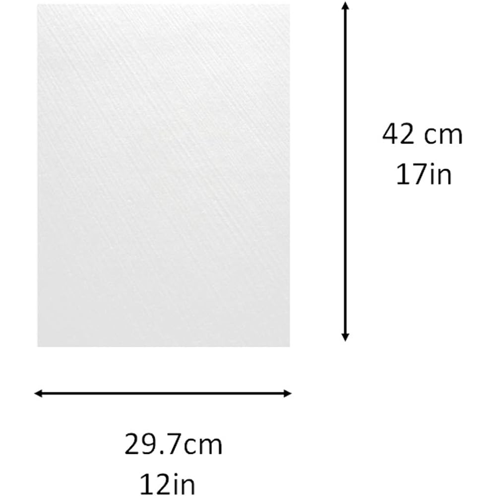 Washi Kawasumi OA Washi Echizen Washi Hakeme Torinoko White A3 size 100 sheets