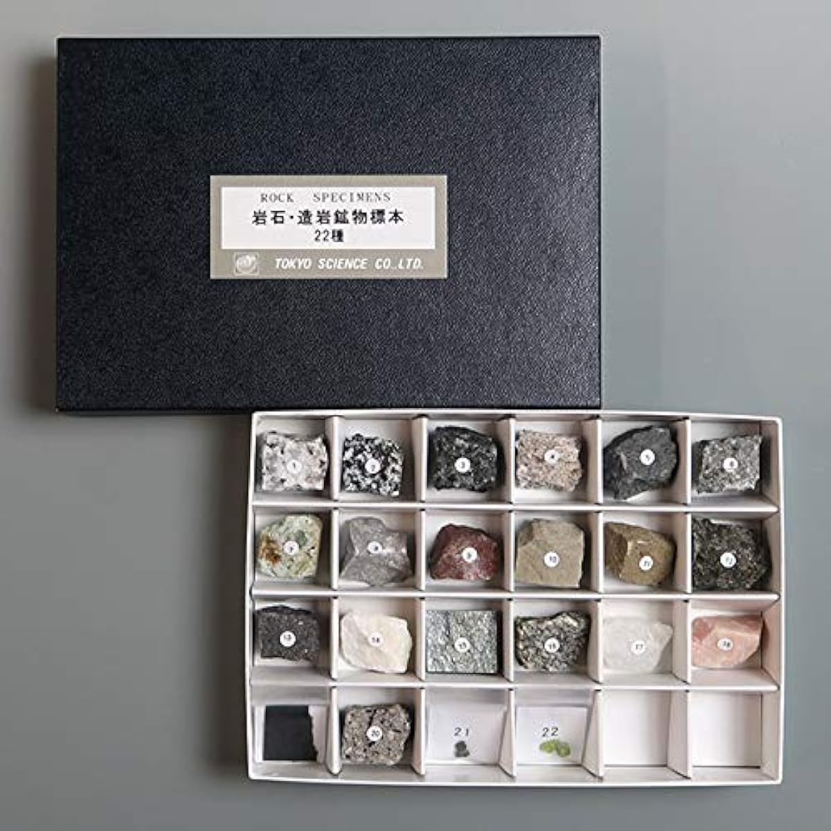 Tokyo Science 22 types of rock and rock-forming mineral specimens (with explanation and natural stones)