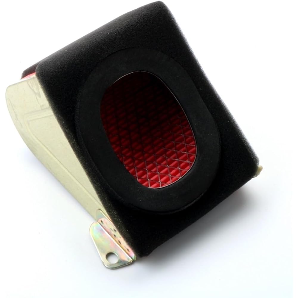 Motorcycle Breather Filter For B Aotian 125 BT125T-2A 2B2 3A2 3A4 3B6 8A 8B 12E1 12F1 125cc 4 Stroke Scooter Motorcycle Air Filter