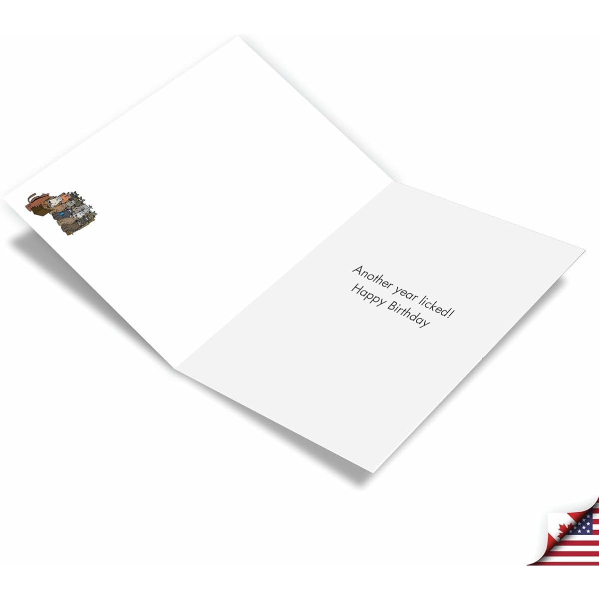 NobleWorks 3 Pack Funny Birthday Greeting Cards with Envelopes (1 Design, 3 of Each) Cat Questions C3674BDG-C3x1