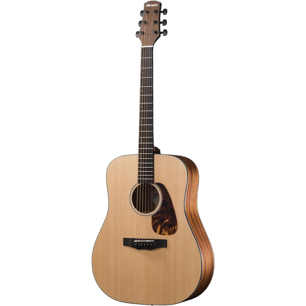 Morris M-021 NAT Natural Morris Dreadnought Size Acoustic Guitar Acoustic Guitar Beginner Outlet