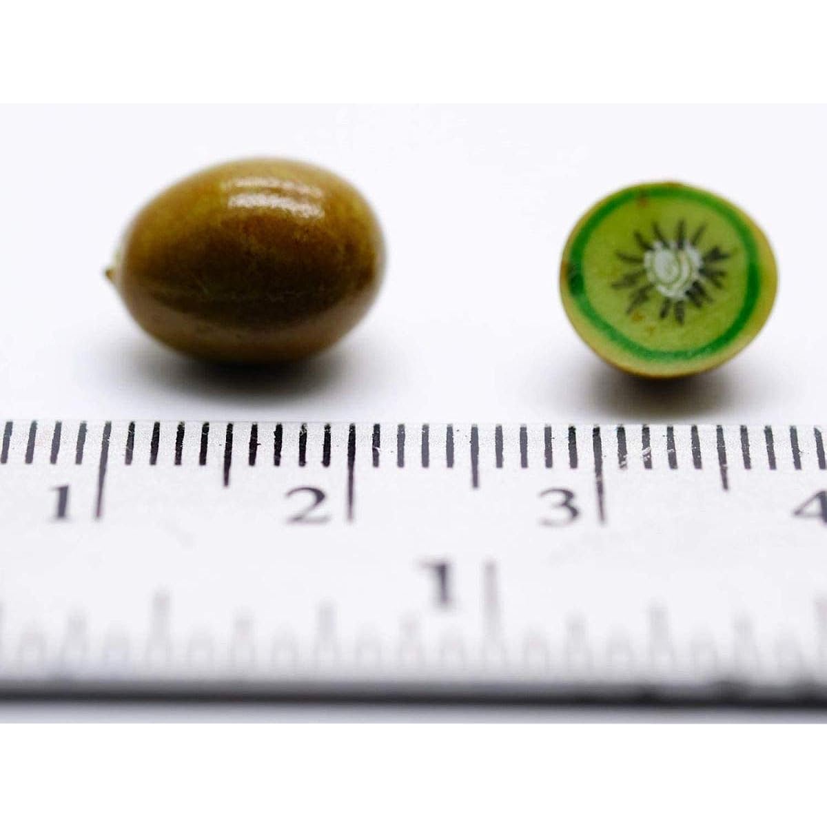 1shopforyou 24pcs Kiwi Dollhouse Miniature Toys & Food Kitchen Handmade