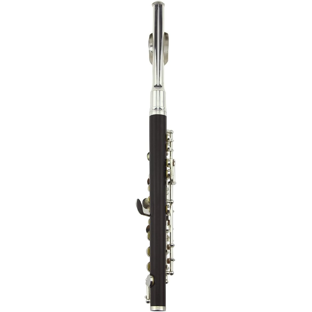 [Hilax] Beginner's Piccolo (① Silver body)