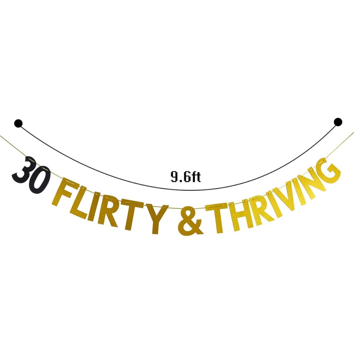 30 Flirty & Thriving Banner 30th Birthday Bunting Sign Dirty Thirty Party Decorations Dirty 30 Party Sign Gold and Black Glitter