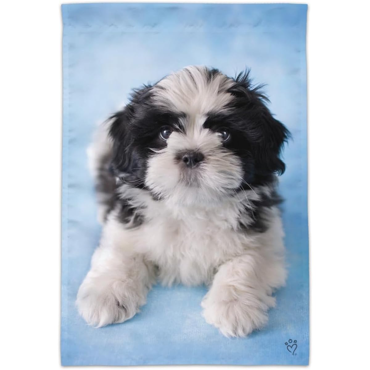 Shih Tzu Dog Black White Blue Garden Yard Flag (Pole Not Included)