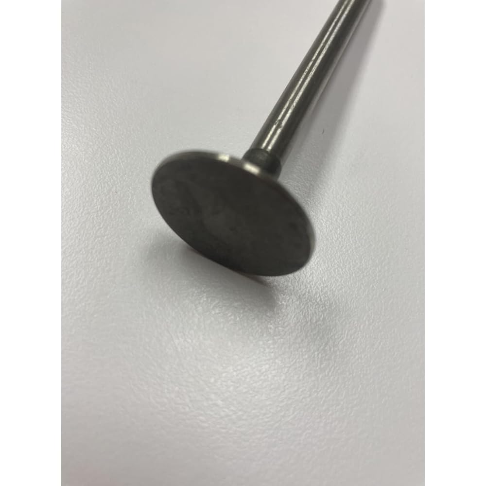 GardenPal Exhaust Valve, Valve EX B&S 5HP OEM 494191/260860/211119S Replacement