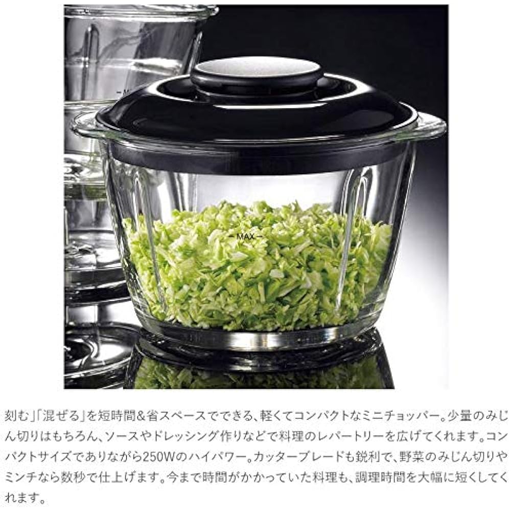 Oishi and Associates Russell Hobbs Food Processor Chopper 250W 500ml 14246JP