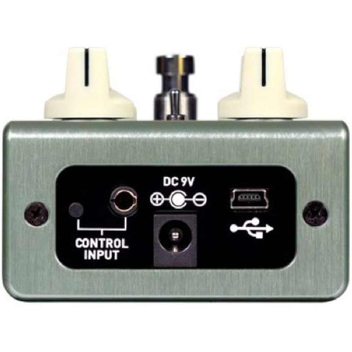 Source Audio SA247 True Spring Reverb Compact Effector Reverb Source Audio