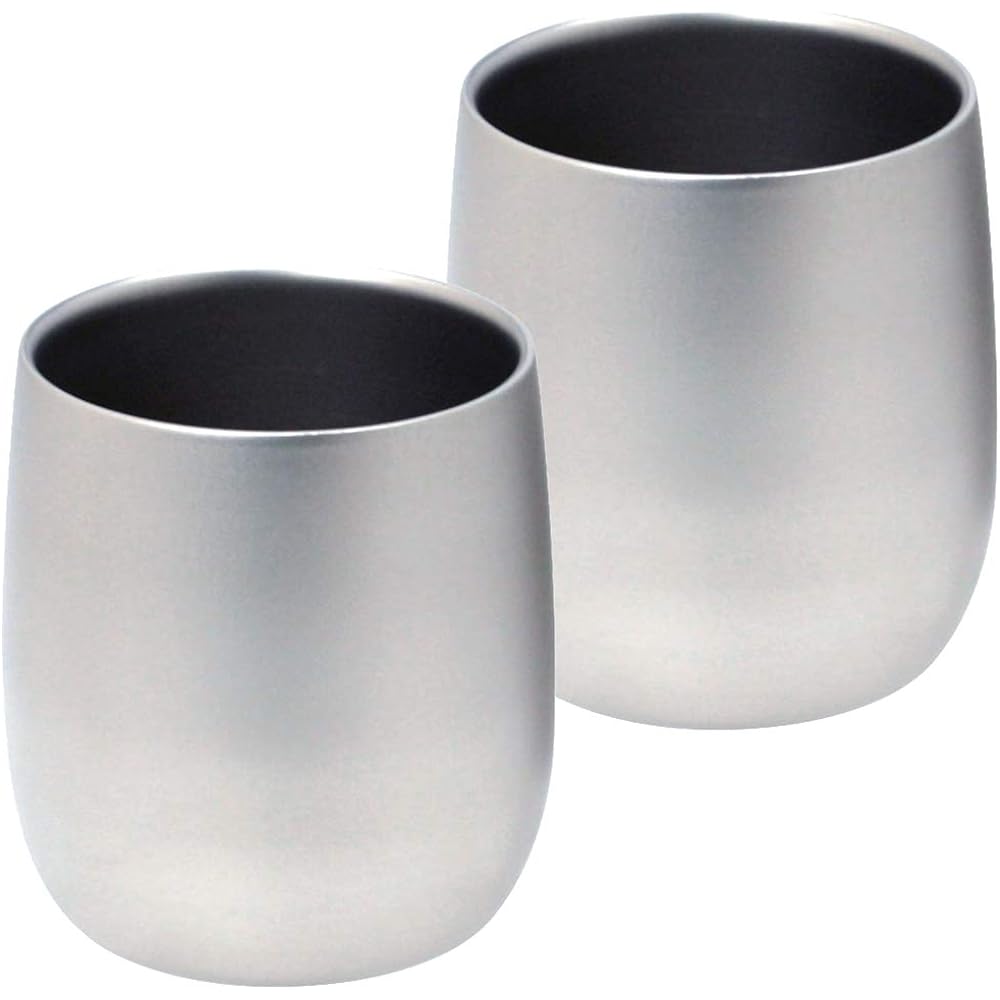 Nagao Tsubamesanjo Titanium Rocks Glass Double Structure 250ml Set of 2 Made in Japan TW-4