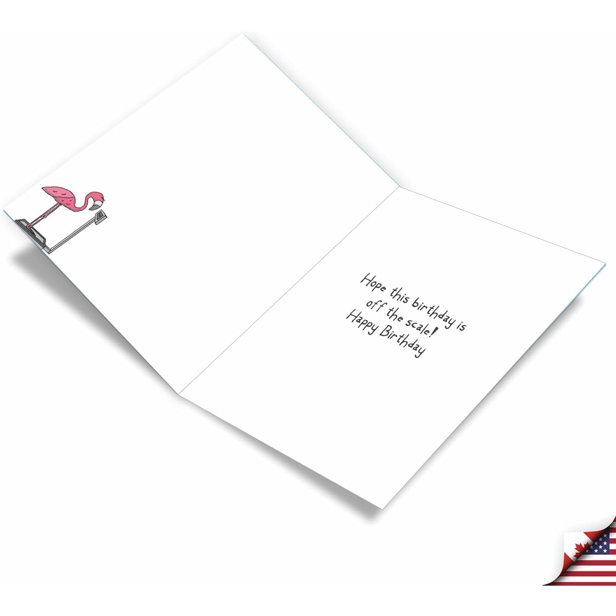 NobleWorks, Flamingo Scale - Hysterical Birthday Greeting Card Greeting Card (8.5 x 11 inches) - J3370BDG