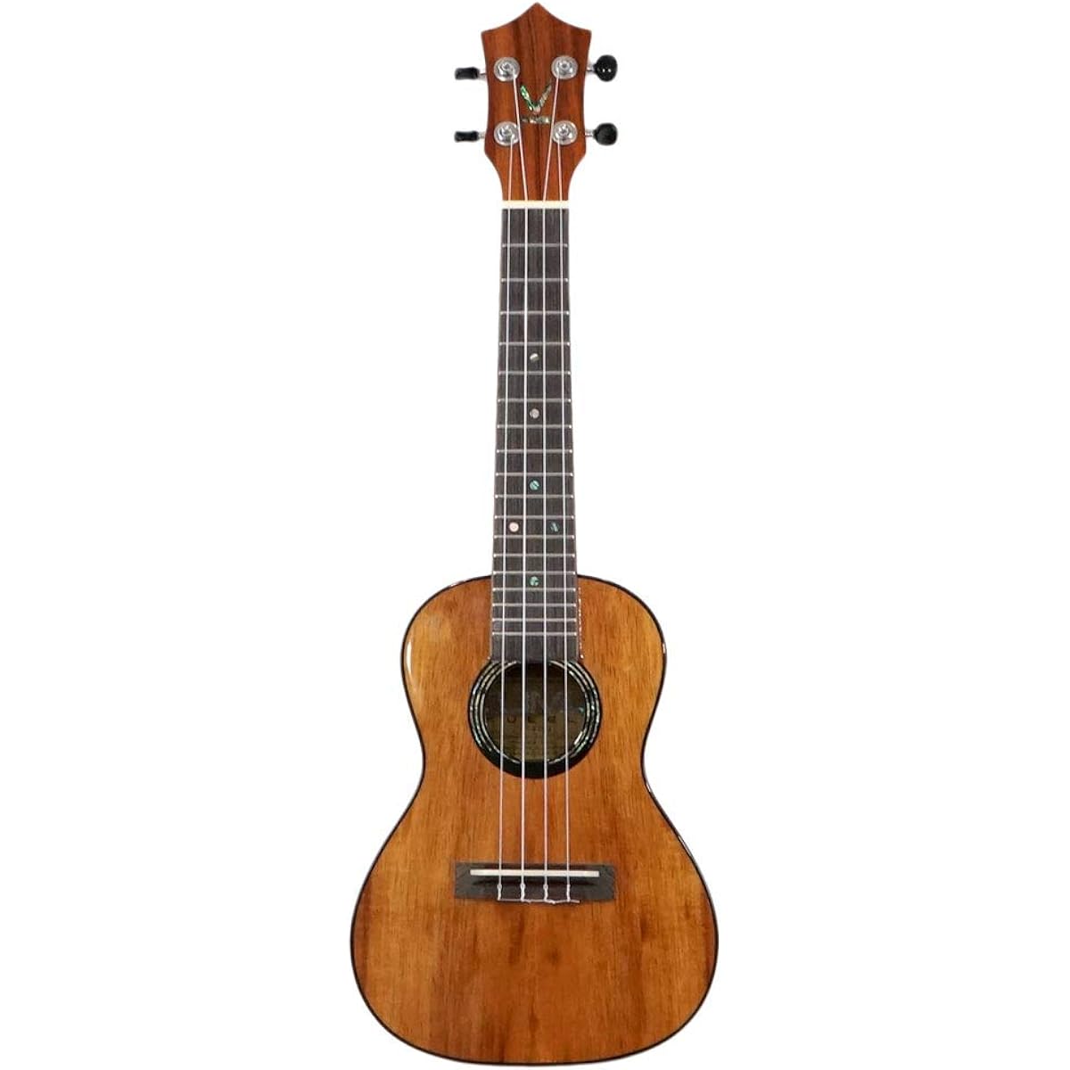 KUMU UKULELE CG55A Concert Ukulele High Gloss Specification Dedicated Gig Bag Included