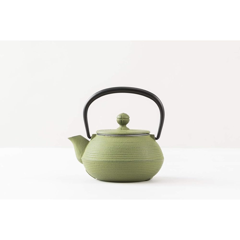 Iwachu Teapot 3 Type Wire Drawn Wakakusa 0.32L Enamel Inside Nambu Ironware 12463