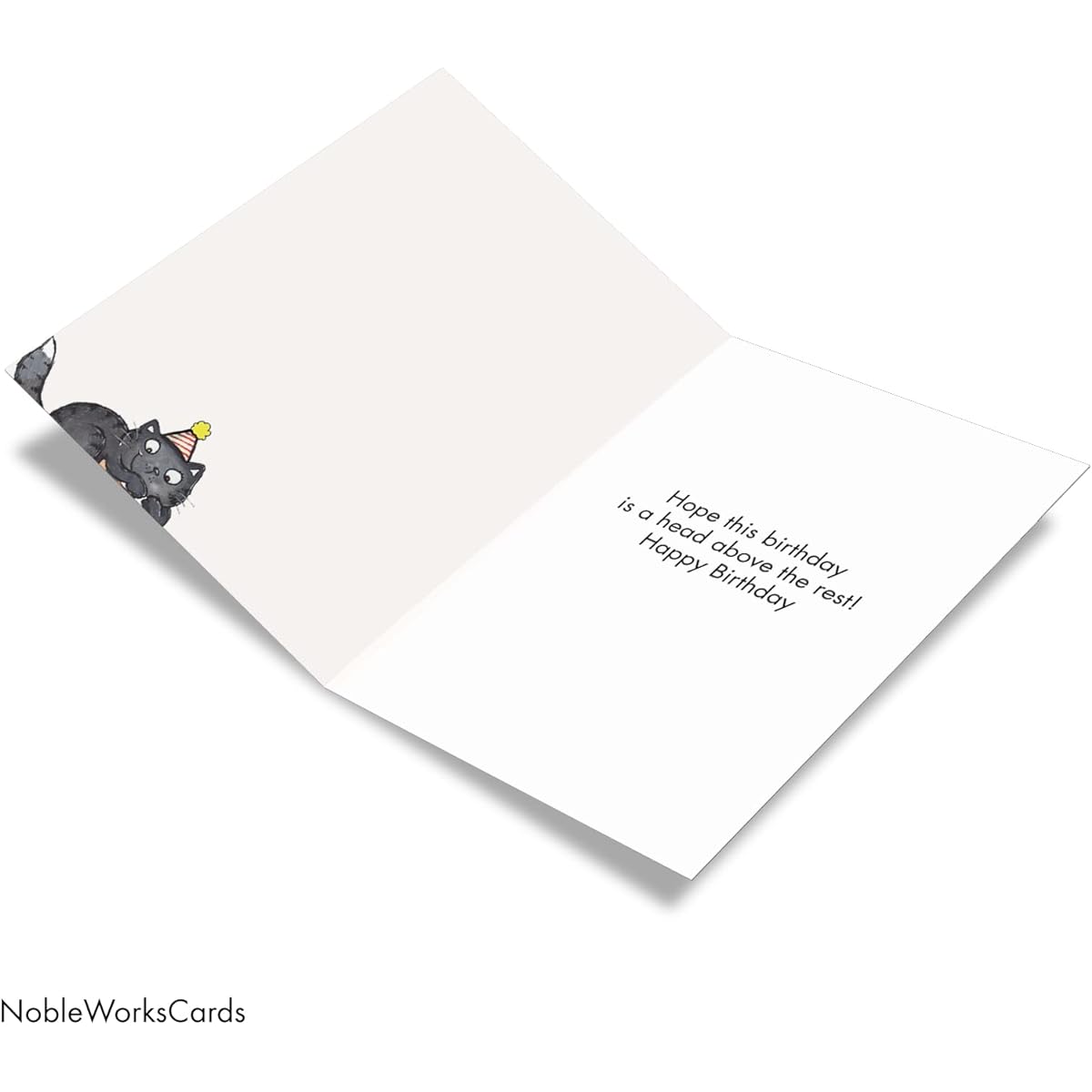 NobleWorks Cat on Head - Birthday Greeting Card with Envelope (4.63 x 6.75 Inches) - C3791HBDG