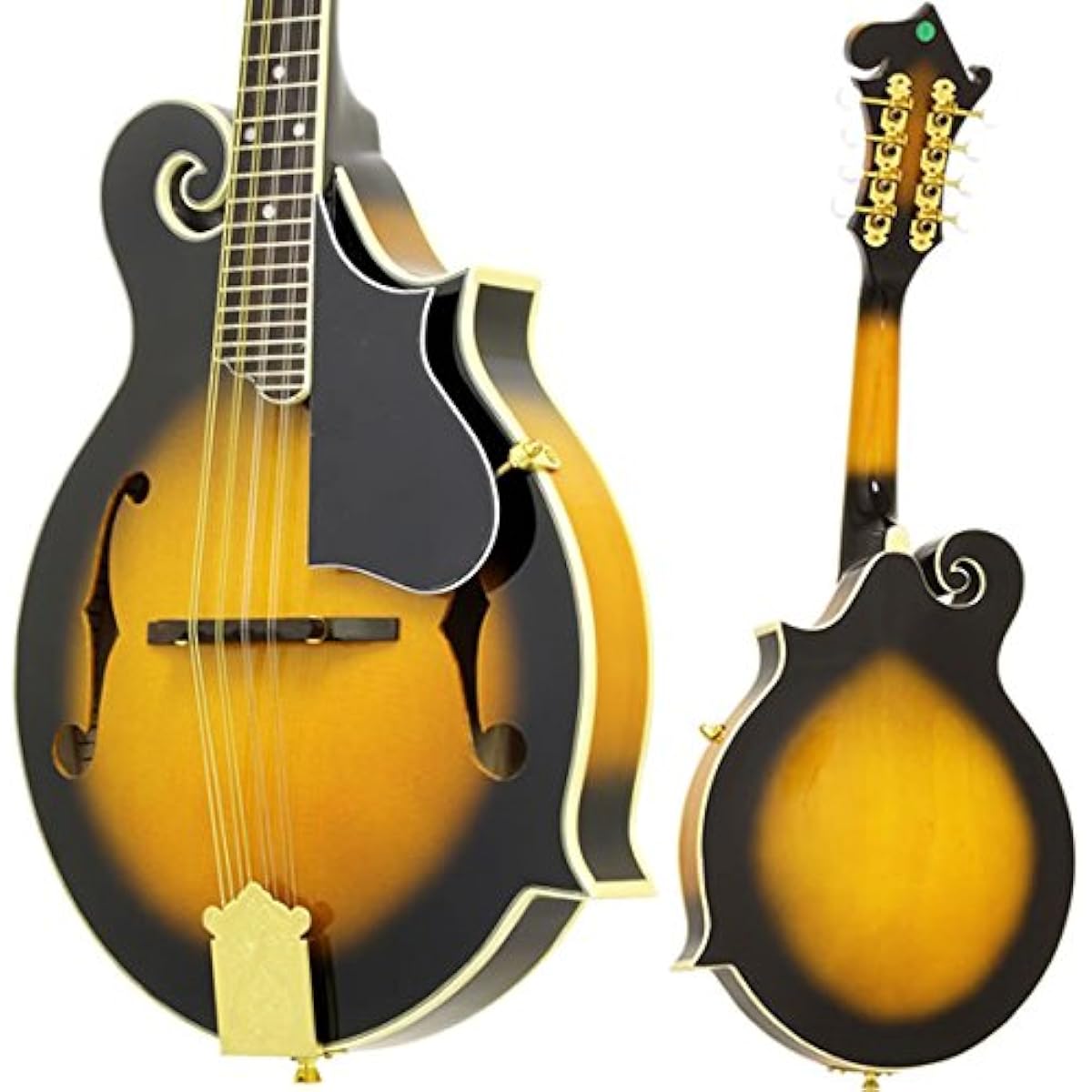 Aria Flat Mandolin Beginner Introductory Swirl Body F Type Standard 9 Piece Set AM-40