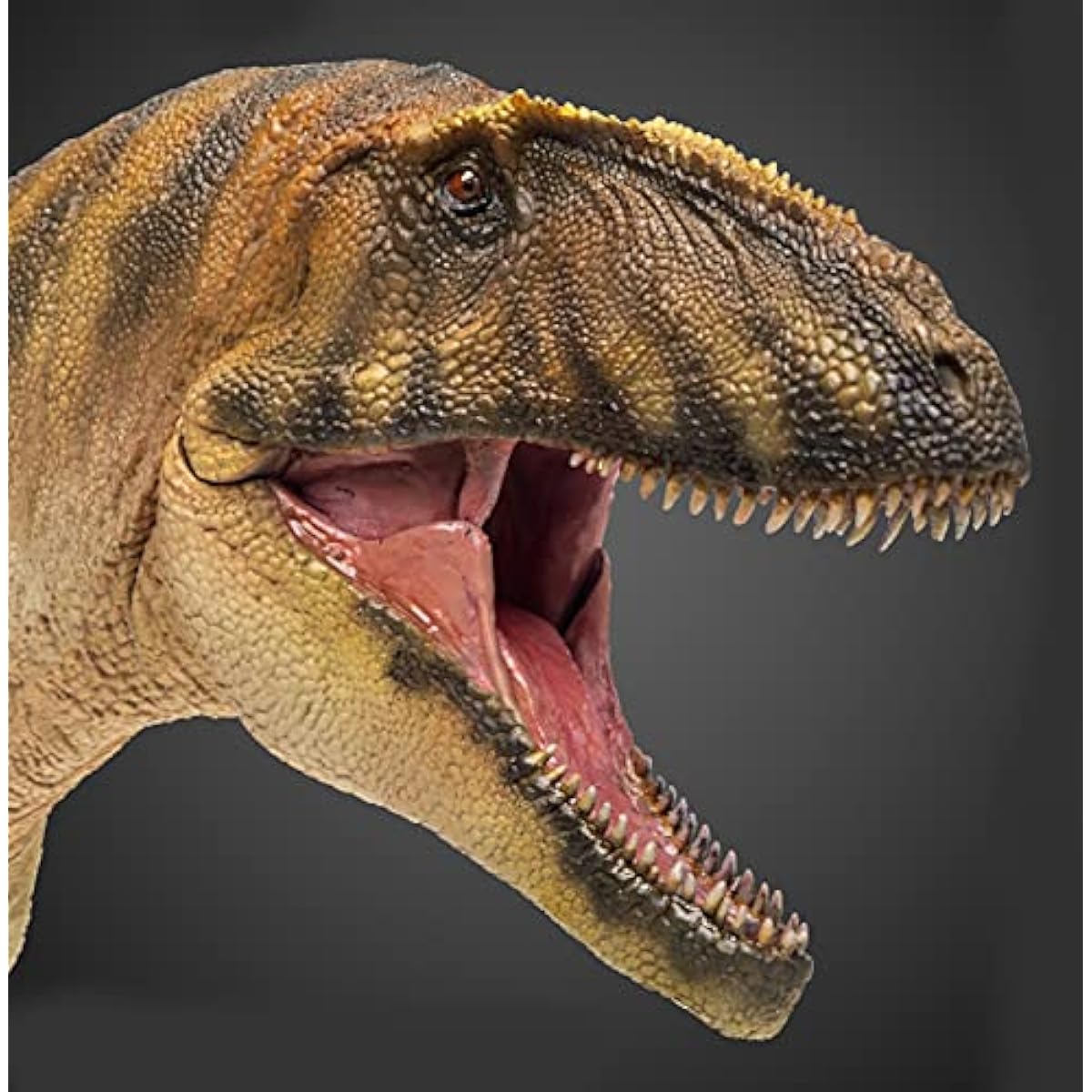 PNSO Carcharodontosaurus Gamba Dinosaur Model Toy Collectible Tyrannosaurus Rex Dinosaur Science Art Model Real Animal Figure PVC Premium Plastic Model Painted Finished Product