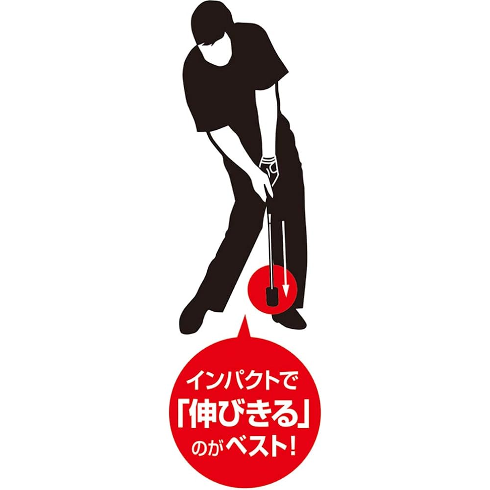 DAIYA GOLF Swing practice equipment Type that stretches completely at impact Learn the correct release point Compact and lightweight Can be practiced indoors TR-531