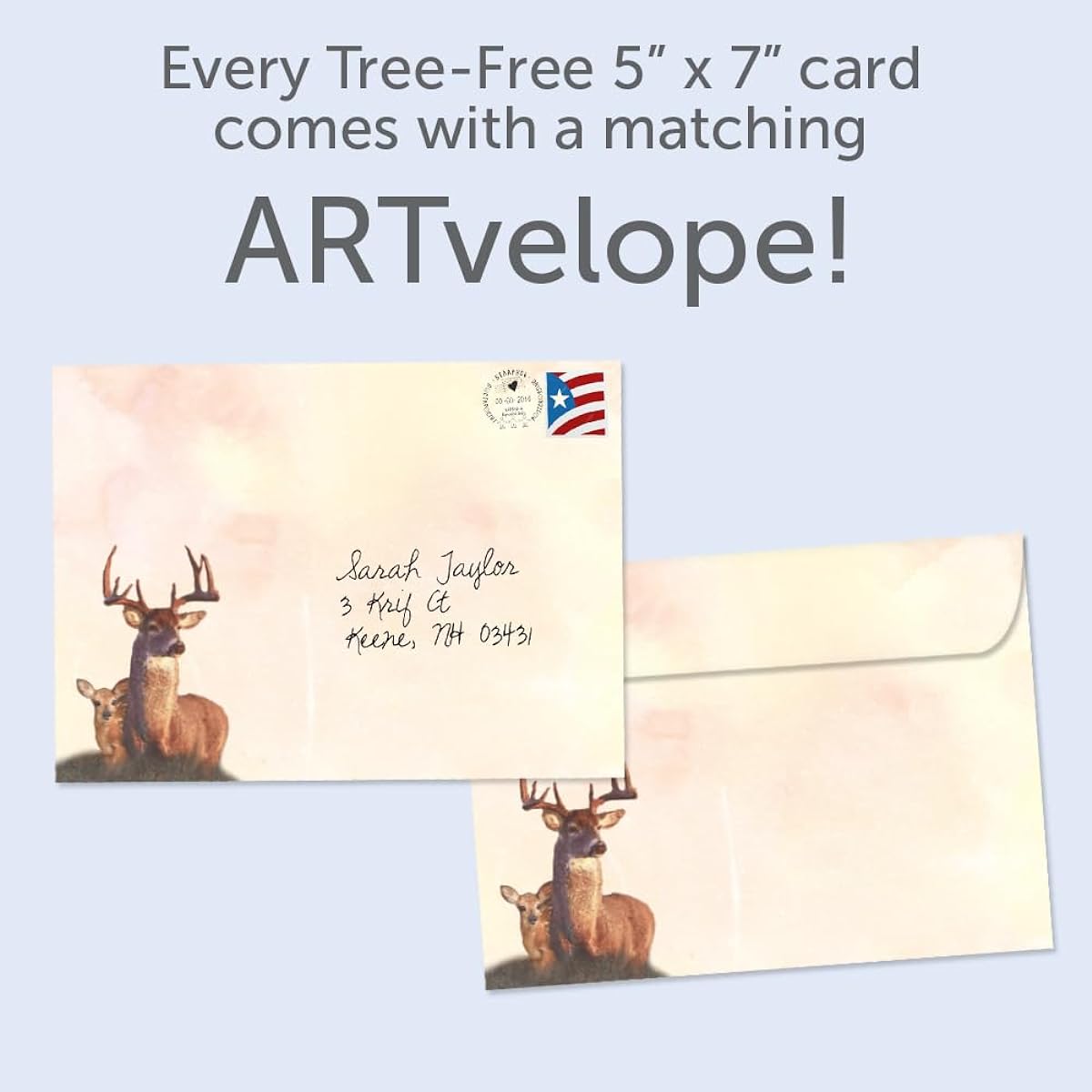 Tree-Free Greetings Birthday Cards with Matching Envelopes, Eco-Friendly, Made in the USA, 100% Recycled Paper, 5" x 7", Deer Quality (GO65473)
