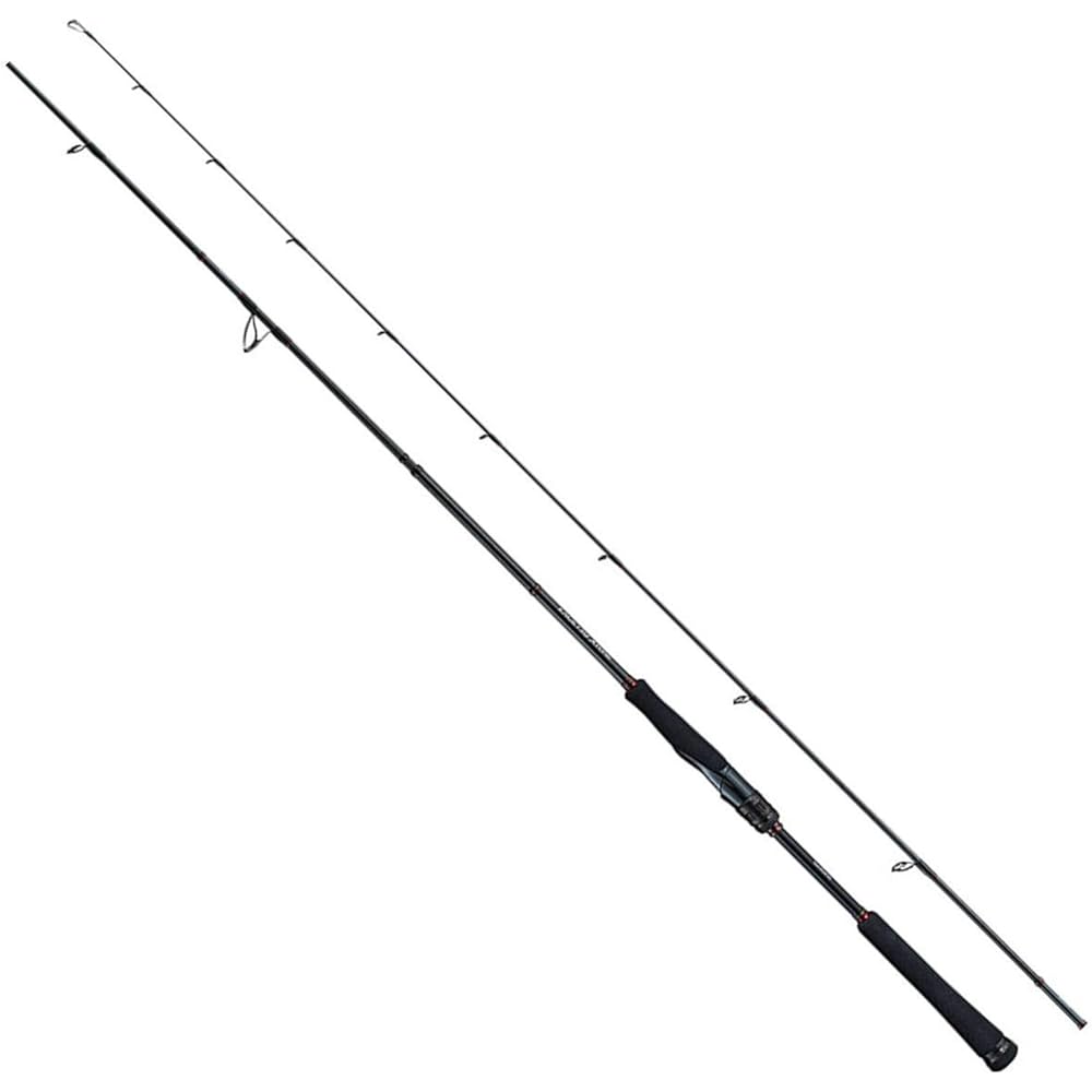 SHIMANO 19 Tairaba Engetsu Extune Casting Model S66M/S72MH