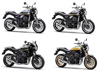 Kawasaki 2018-2023 Z900RS/Z900RS SE/Z900RS CAFE Indicator Cover Silver 999941016 7425