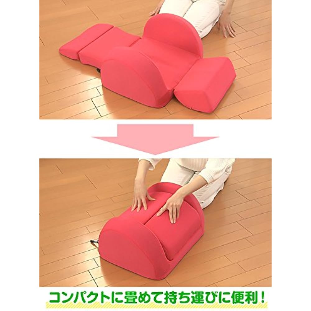 Ashiya Beauty Chiropractic Pelvic Slim 3D Air / Dark Brown / Pelvis Stretching Tightening Waist Thighs Lower Back [TBS Shopping]