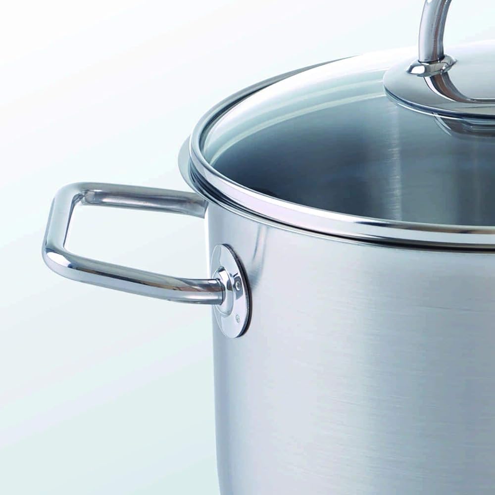 Fissler Double Handed Pot Stainless Steel 20cm Viseo Stew Pot with Glass Lid Gas Fire/IH Compatible Heat Resistant Waterless Cooking 084-117-20-001
