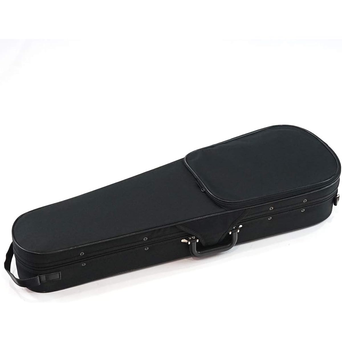carlo giordano violin case